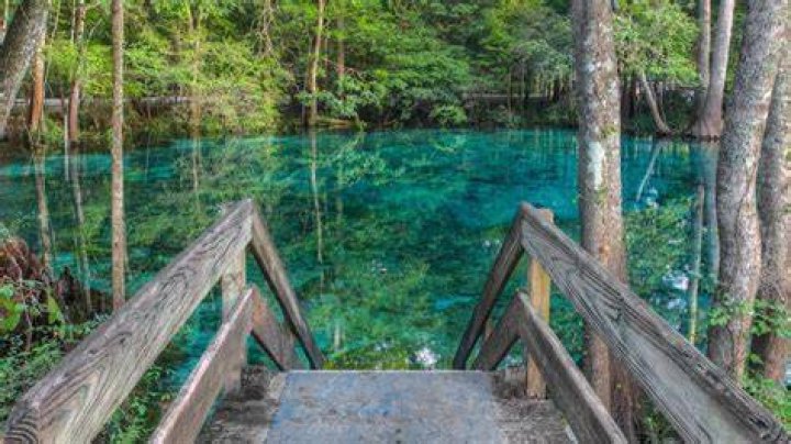 Exploring the Beauty of Florida Gulf Coast: Your Ultimate Travel Guide