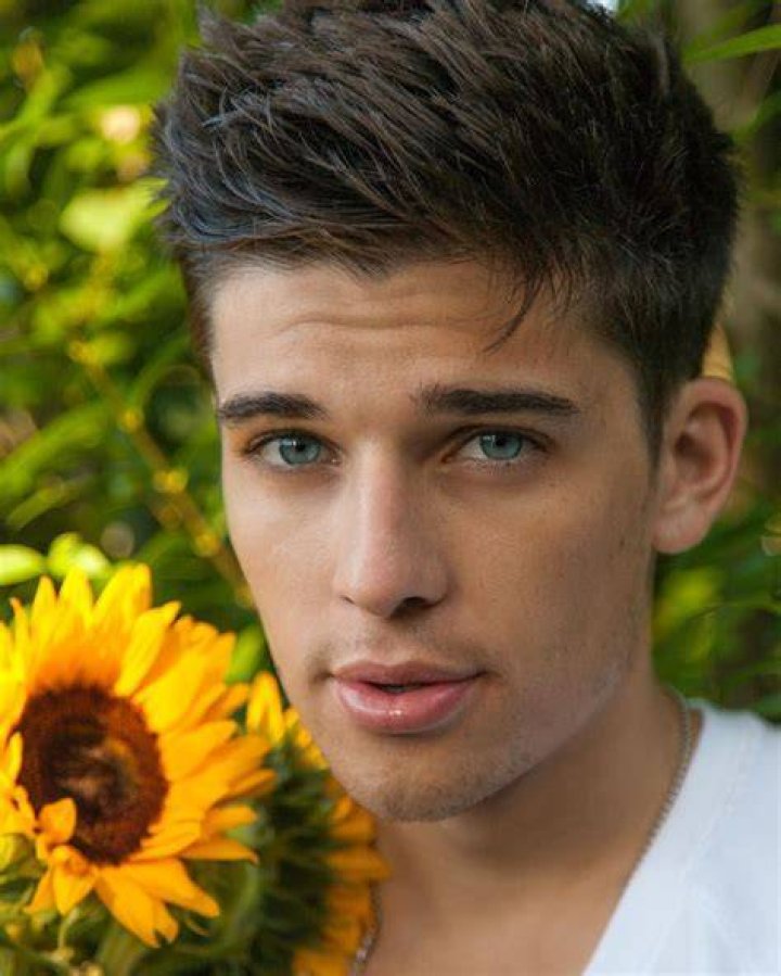 Exploring the Life and Career of Sean O'Donnell